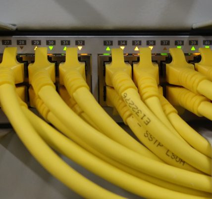 Komputer nie wykrywa kabla ethernet. Co zrobić?
